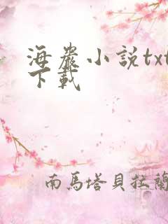 海岩小说txt下载