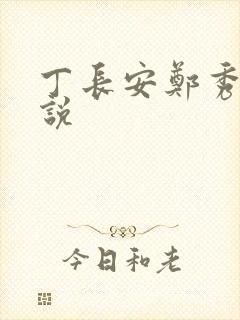 丁长安郑秀兰小说