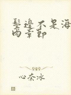 鬓边不是海棠红肉章节