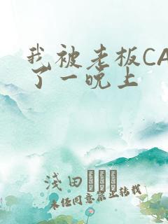 我被老板CAO了一晚上