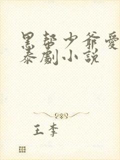 黑帮少爷爱上我泰剧小说