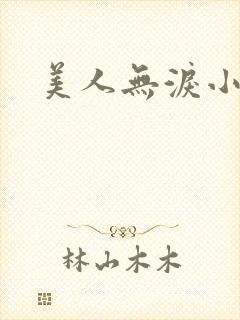 美人无泪小说