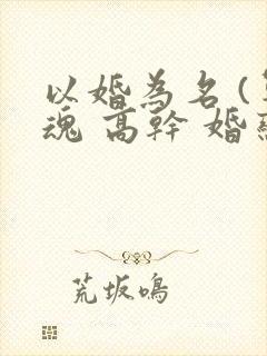 以婚为名 (军魂 高干 婚恋)