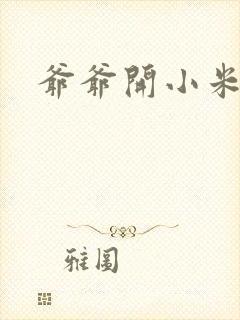 爷爷开小米的处