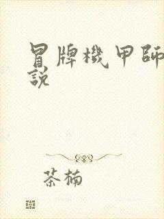 冒牌机甲师 小说