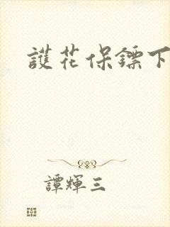 护花保镖下载