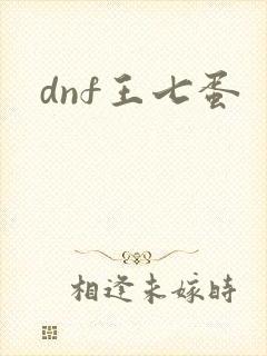 dnf王七蛋