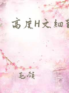 高度H文细节