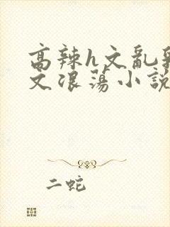 高辣h文乱乳h文浪荡小说苏柔