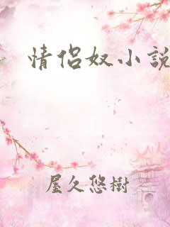 情侣奴小说