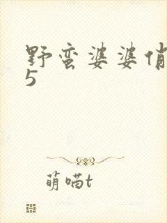 野蛮婆婆俏媳妇5