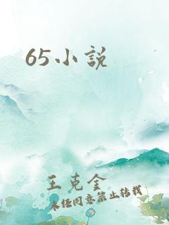 65小说