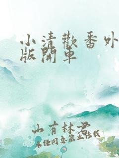 小清欢番外完整版开车