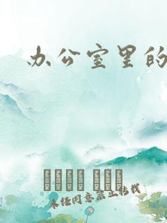 办公室里的故事