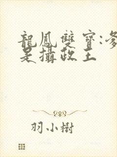 龙凤双宝:爹地是摄政王