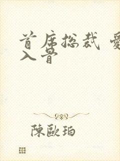 首席总裁 爱你入骨