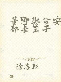 董卿与公安部副部长生子