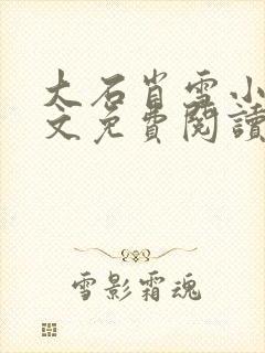 大石肖雪小说全文免费阅读