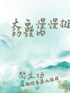 大龟慢慢挺进我的体内