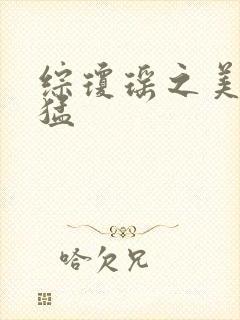 综琼瑶之美人凶猛