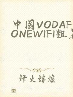 中国VODAFONEWIFI粗暴APP