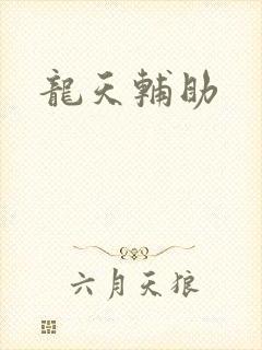 龙天辅助