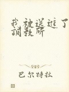 我被送进了私奴调教所