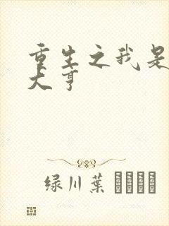 重生之我是金融大亨