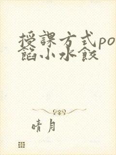 授课方式po肉馅小水饺
