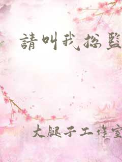 请叫我总监小说