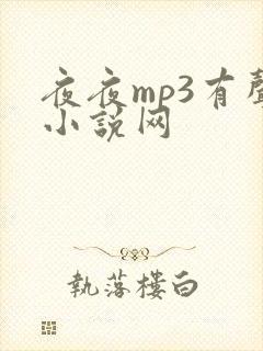 夜夜mp3有声小说网
