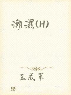 潮湿(H)