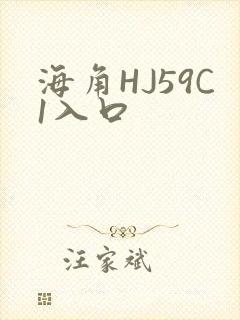 海角HJ59C1入口