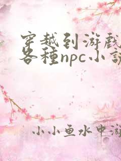 穿越到游戏里和各种npc小说