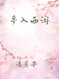 梦入西游