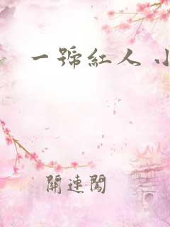 一号红人 小说