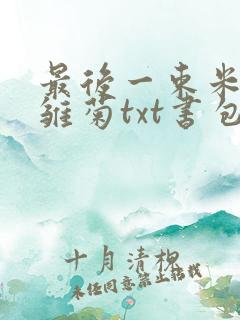 最后一束米迦勒雏菊txt书包网