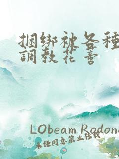 捆绑被各种工具调教花蒂