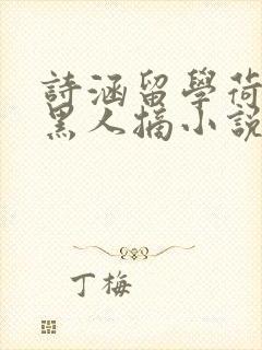 诗涵留学荷兰被黑人摘小说