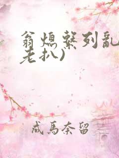 翁熄系列乱 (老扒)