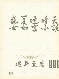 盛夏晚晴天之美女如云小说