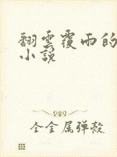 翻云覆雨的秘密小说