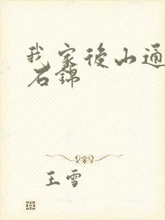 我家后山通仙界石锦