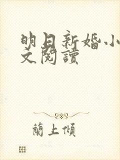 明日新婚小说全文阅读