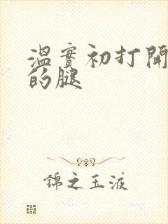 温实初打开眉庄的腿