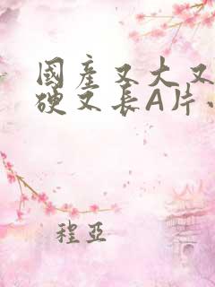 国产又大又粗又硬又长A片小说