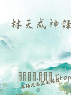 林天成神录