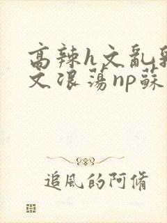 高辣h文乱乳h文浪荡np苏夏