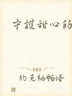 守护甜心的小说