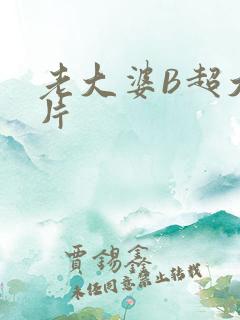 老大婆B超大图片